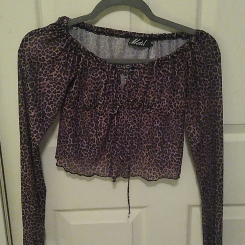 Cheetah print, sheer blouse